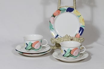 Arabia Arctica Poetica teekupit ja lautaset, 2 kpl, suunnittelija Dorrit Von Fieandt, serikuva
