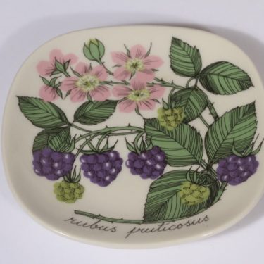 Arabia Botanica decorative plate, Karhunvatukka, designer Esteri Tomula, Karhunvatukka, small, silk screening
