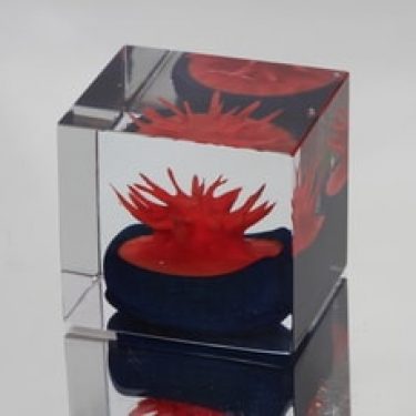 Nuutajärvi taide-esine, Vuosikuutio 1991, suunnittelija Oiva Toikka, Vuosikuutio 1991, signeerattu, Vuosikuutio 1991