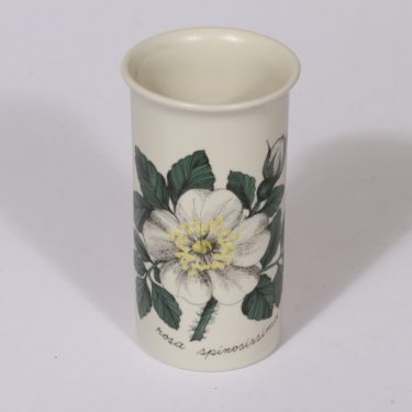 Arabia Botanica vase, white rose, Esteri Tomula