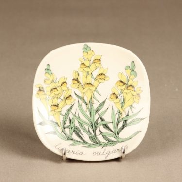 Arabia Botanica koristelautanen, Keltakannusruoho, suunnittelija Esteri Tomula, Keltakannusruoho, serikuva, kukka-aihe