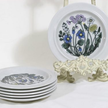 Arabia Flora lautaset, 6 kpl, suunnittelija Esteri Tomula, serikuva, raitakoriste