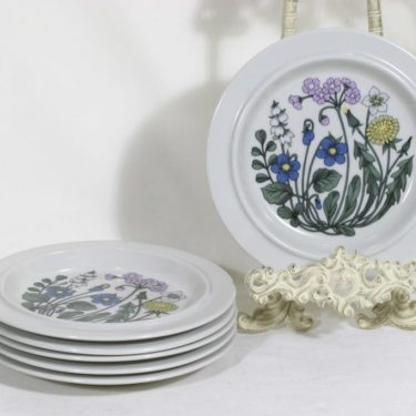 Arabia Flora lautaset, 6 kpl, suunnittelija Esteri Tomula, pieni, serikuva
