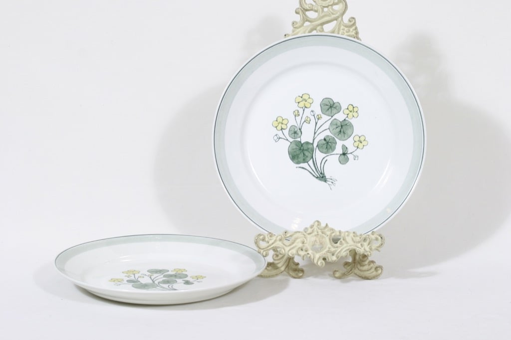 Arabia Suvi plates, hand-painted, 2 pcs, designer Raija Uosikkinen,