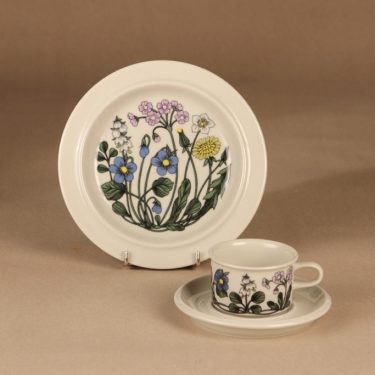 Arabia Flora kahvikuppi ja lautaset, monivärinen, suunnittelija Esteri Tomula, serikuva, kukka