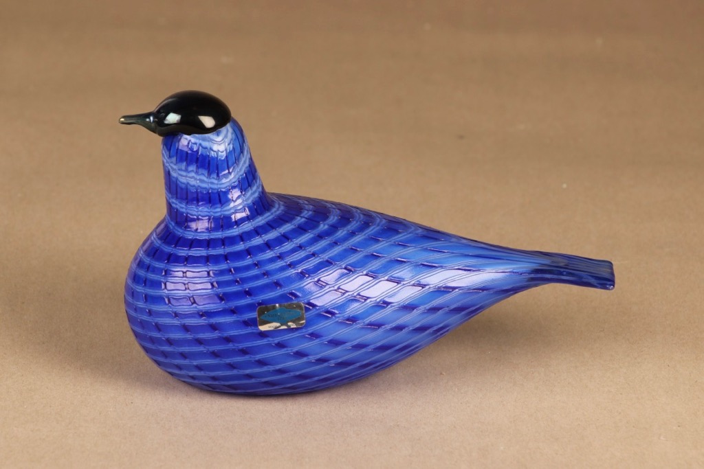 Nuutajärvi bird Blue Bird, annual bird to SSKK