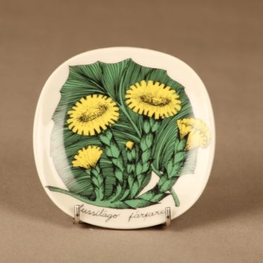 Arabia Botanica wall plate Tussilago farfara designer Esteri Tomula