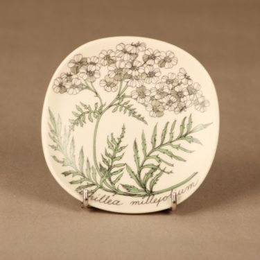 Arabia Botanica seinälautanen, Siankärsämö, suunnittelija Esteri Tomula, Siankärsämö, Achillea millefolium