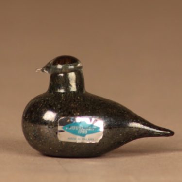 Nuutajärvi bird Golden Crested Kinglet