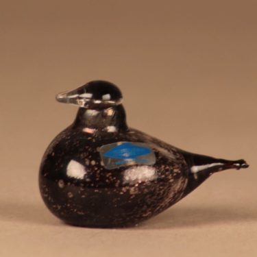 Nuutajärvi bird Golden Crested Kinglet