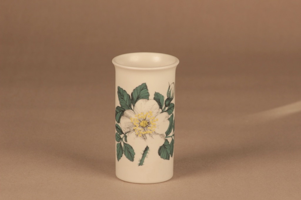 Arabia Botanica vase Daisy designer Esteri Tomula
