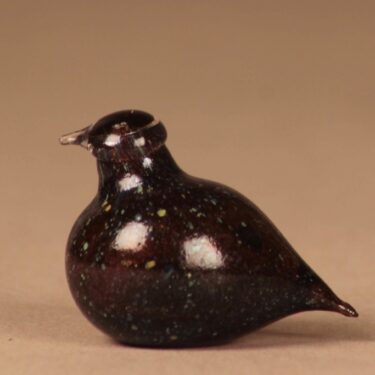 Nuutajärvi bird Golden Crested Kinglet