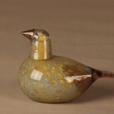 Nuutajärvi lintu Taviokuurnatar suunnuttelija Oiva Toikka