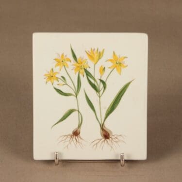 Arabia Isokäenrieska suunnittelija Svea Granlund